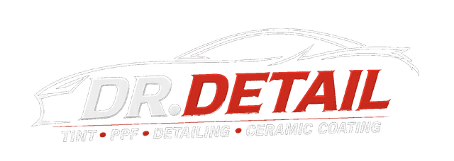 Doctor Detail logo